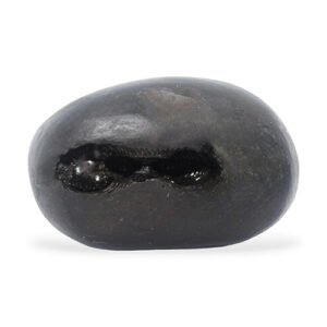 LAKSHMI NARSIMHA SHALIGRAM by Gangtarang®