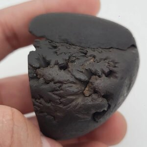 MAHA DHANVANTRI SHALIGRAM – For Health And Cure (The God Of Ayurved) (RARE)