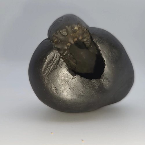 MAHAKAALI SHALIGRAM (RARE) - Image 2