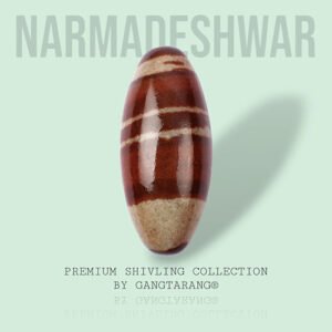 NARMADESHWAR SHIVLING by Gangtarang®
