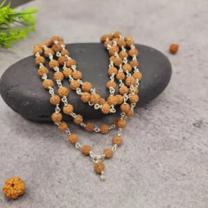 RUDRAKSHA MALA in Pure Silver Caps 6mm by Gangtarang®