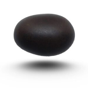 SHALIGRAM SHILA by Gangtarang®