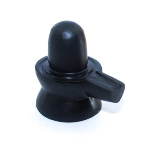 SHALIGRAM SHIVLING by Gangtarang®