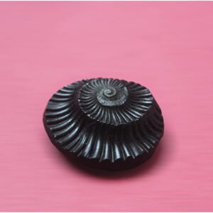 SUDARSHAN SHALIGRAM by Gangtarang®