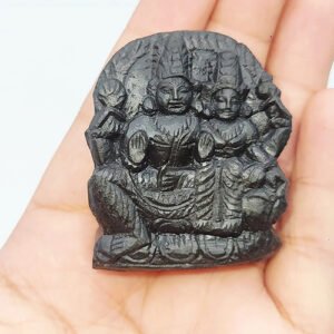 SWARN LAKSHMI NARAYAN IDOL CARVED ON REAL SHALIGRAM (100% NATURAL SUDARSHAN) by Gangtarang™