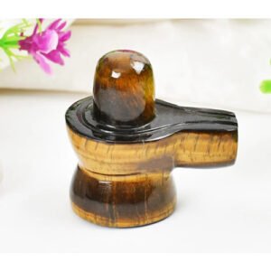 TIGER EYE SHIVLING by Gangtarang®