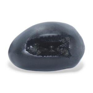 VASUDEV SHALIGRAM by Gangtarang®