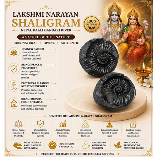 LAKSHMI NARAYAN SHALIGRAM by Gangtarang® - Image 2