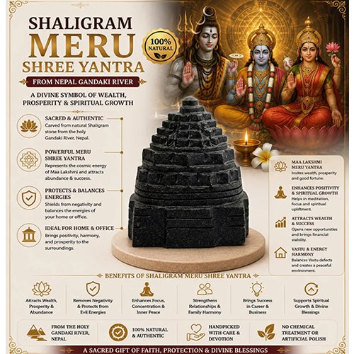 SHALIGRAM SHREE YANTRA by Gangtarang® - Image 2